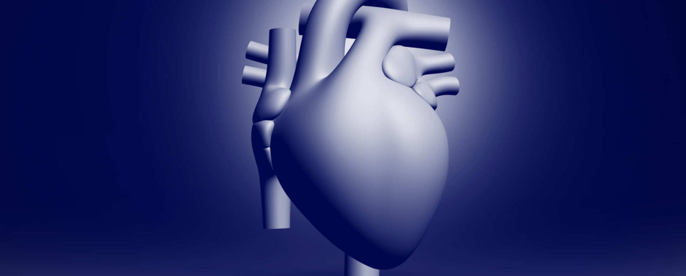 CARDIO_3d heart