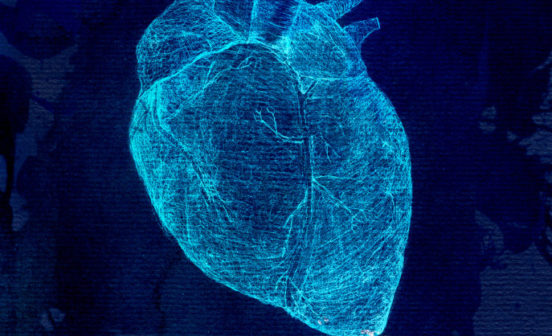 PreventionTherapeutic Study reveals enlarged heart condition can be explained and predicted by genetic analysis