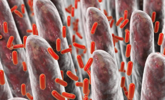 Diagnostic New research reveals antibiotics boost the growth of antibiotic-resistant bacteria in the gut
