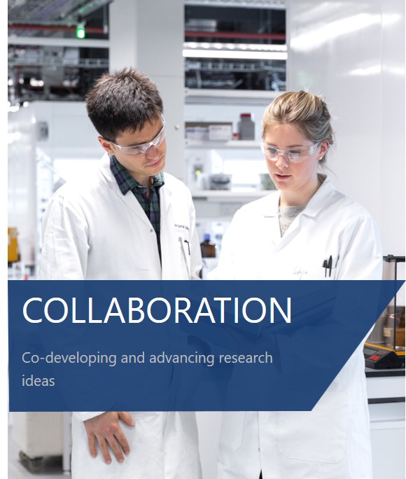 Collaboration