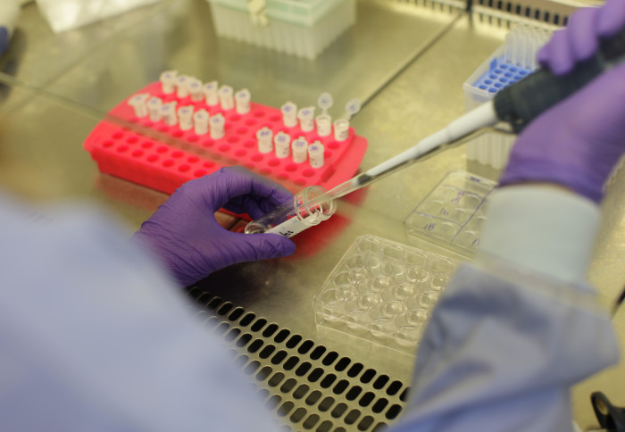 scientist using a pipette is testing samples in a laboratory environment