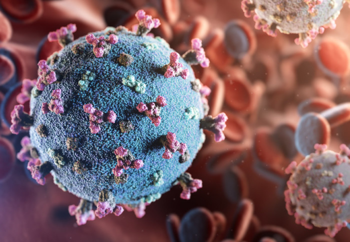 Corona,Virus,Sars-cov-2,Novel,Coronavirus,Concept,Resposible,For,Illness,Covid-19