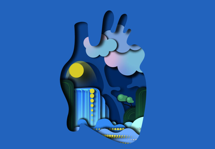Human Heart Cell Atlas- Image by Dr Eleonora Adami
