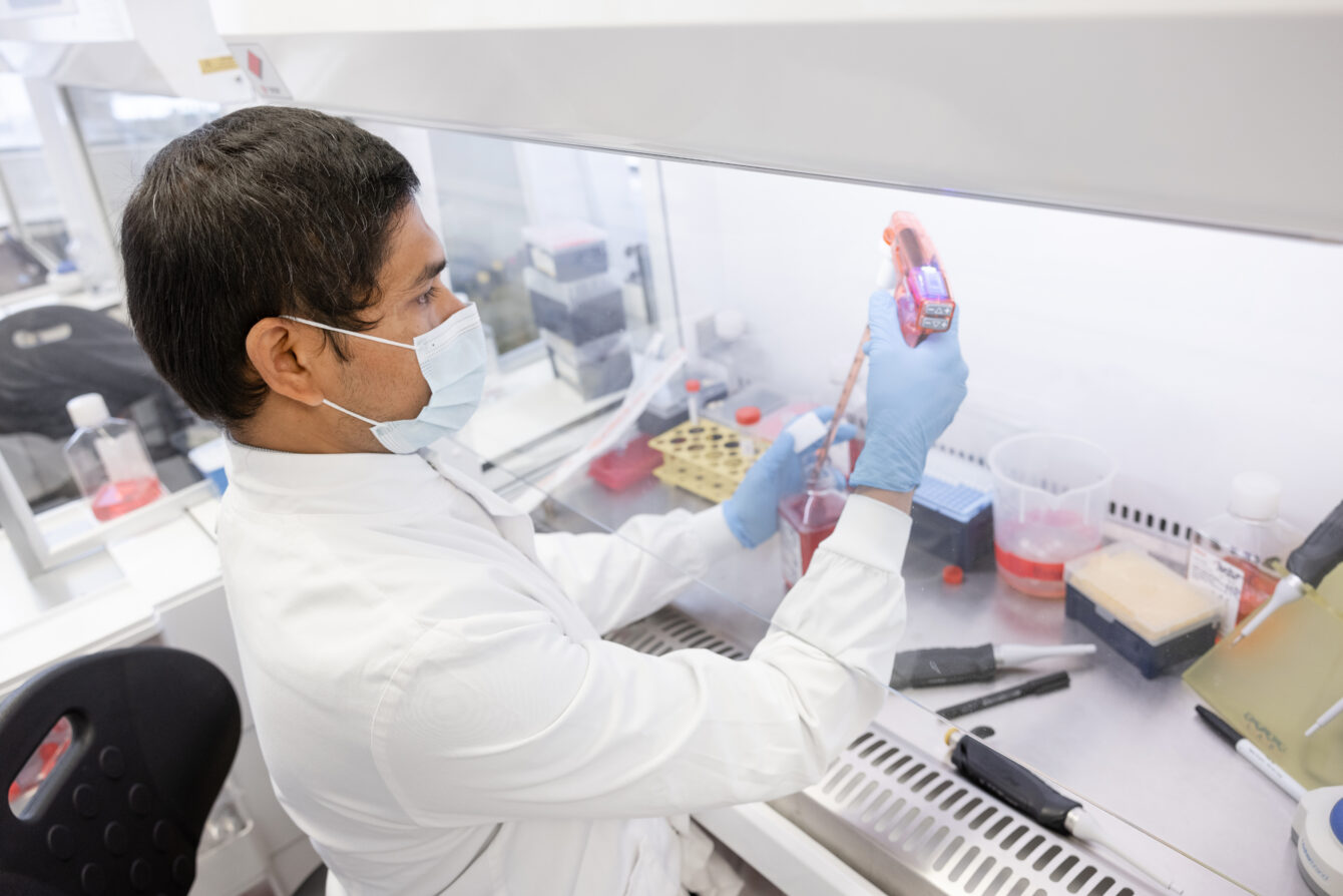 Lab