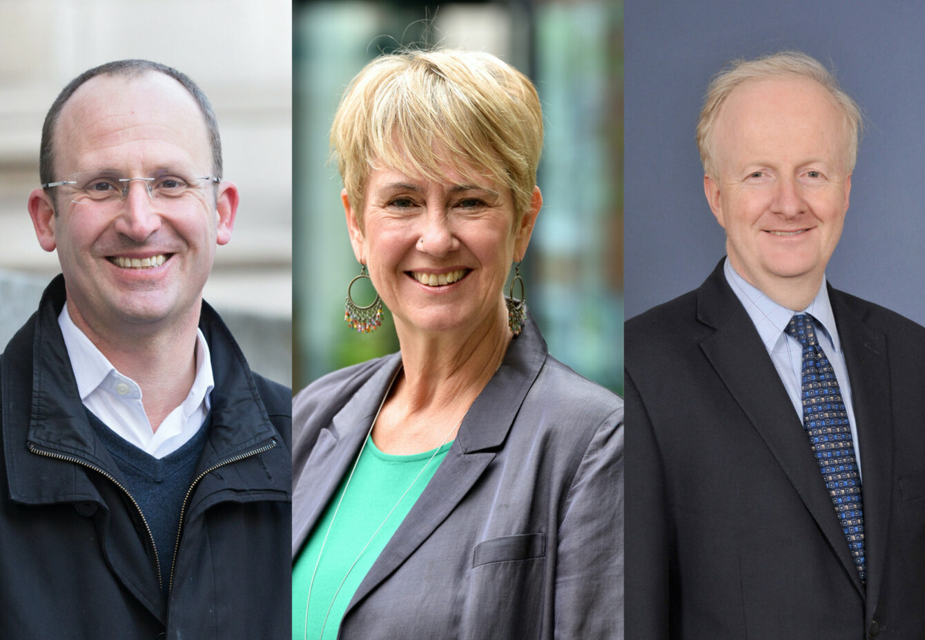 NIHR snr investigators 2024