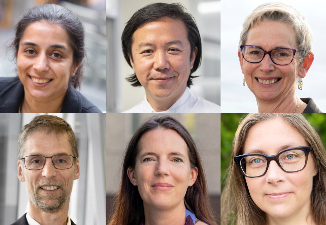 Academy of Medical Sciences Fellows 2025