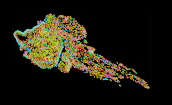 Prevention Innovative Spatial Mapping of Airways Offers New Insights into Asthma