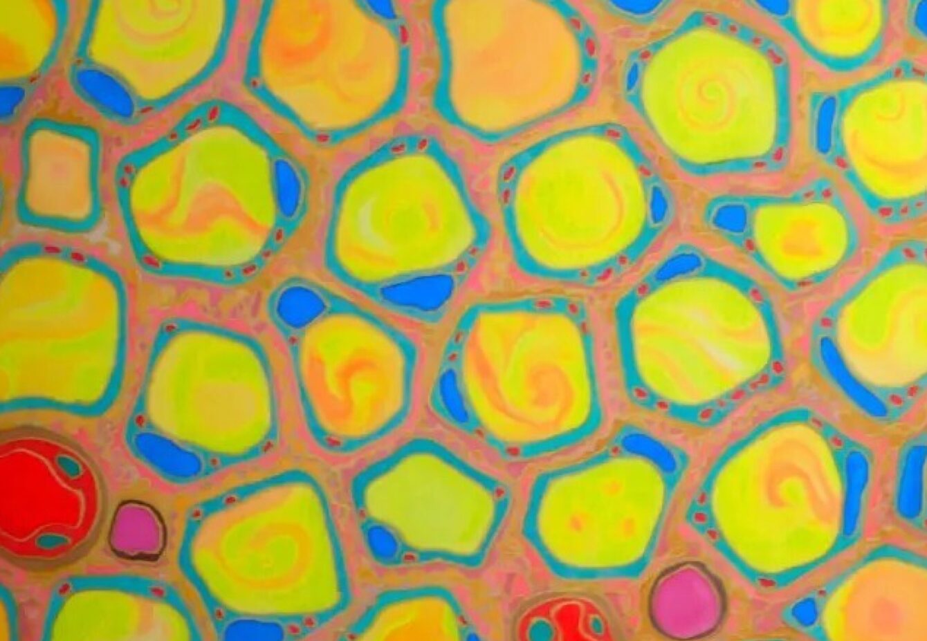 human fat tissue