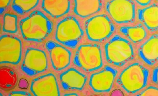 human fat tissue